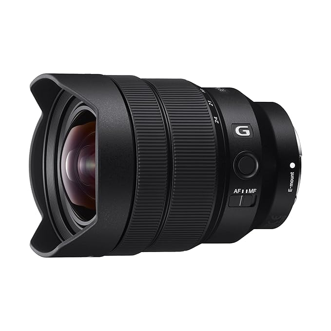 Sony 12-24 F4