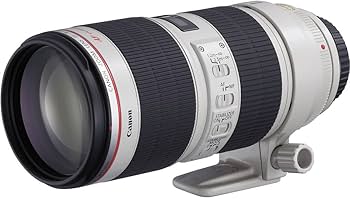 Canon EF 70-200 F 2.8 IS 2