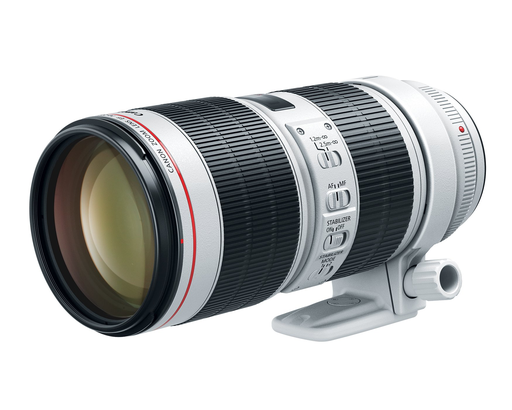 Canon 70-200 F 2.8 IS 3