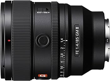 Sony 85mm 1.4 GM 2